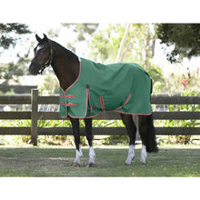 Load image into Gallery viewer, Weatherbeeta ComFiTec Prelim Standard Neck Lite