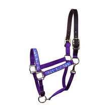 Load image into Gallery viewer, Perri's Nylon Ribbon Safety Halters