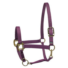 Load image into Gallery viewer, Perris Super Halter Nylon