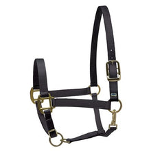 Load image into Gallery viewer, Perris Super Halter Nylon