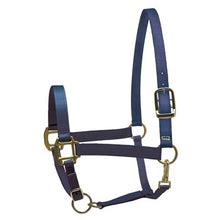Load image into Gallery viewer, Perris Super Halter Nylon