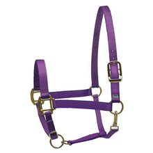 Load image into Gallery viewer, Perris Super Halter Nylon