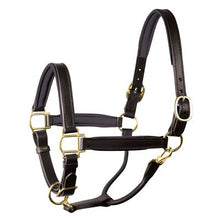 Load image into Gallery viewer, Perris 1" Leather Padded Halters