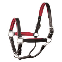 Load image into Gallery viewer, Perris 1" Leather Padded Halters