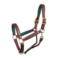 Load image into Gallery viewer, Perris 1" Leather Padded Halters