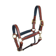 Load image into Gallery viewer, Perris 1" Leather Padded Halters