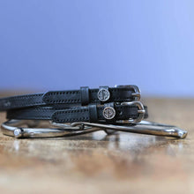 Load image into Gallery viewer, ManeJane Zodiac Spur Straps