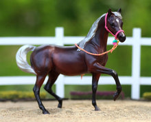 Load image into Gallery viewer, 4-Ever Friends Gift Set | Pink Perfection