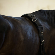 Load image into Gallery viewer, Horze Lunging Surcingle Nylon - Black Horse Size