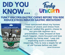 Load image into Gallery viewer, Gastric Chews By Funky Unicorn