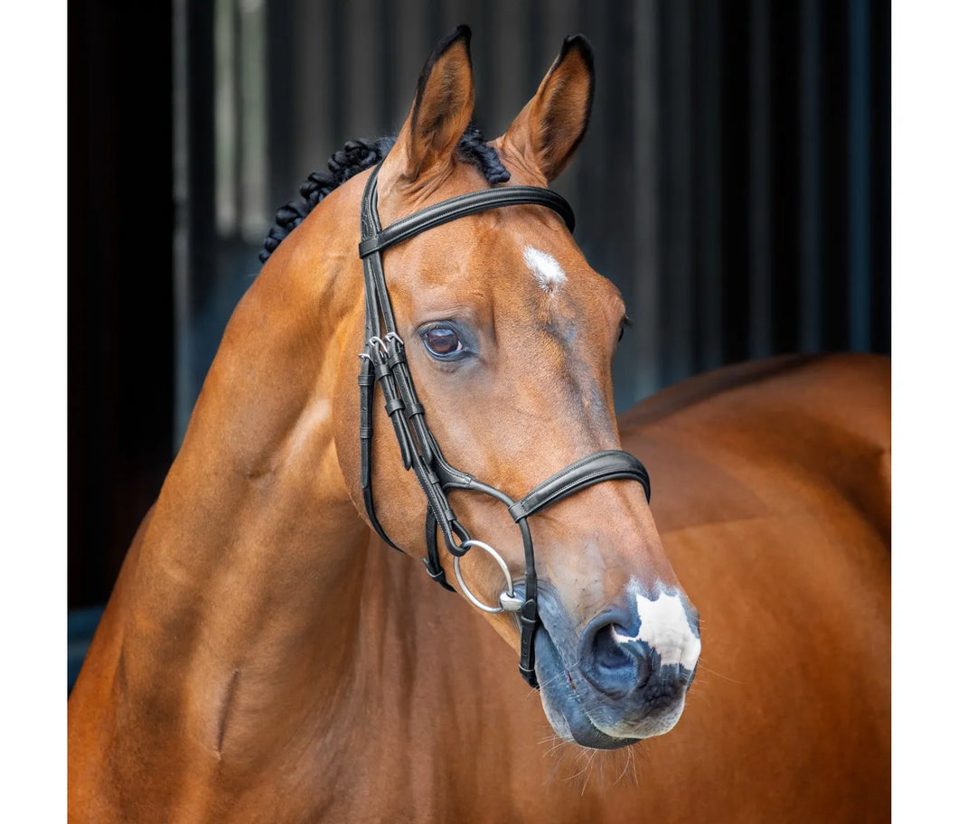 Lusso Rolled Padded Cavesson Bridle