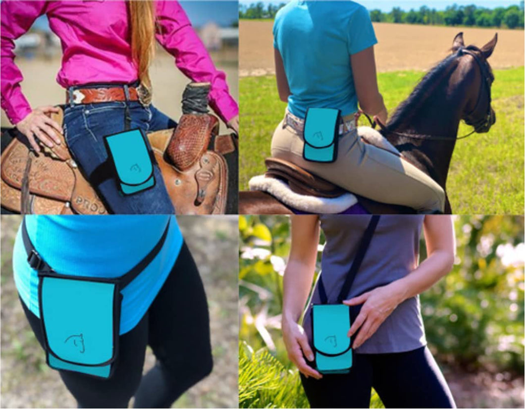 Horse Holsters