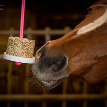 Load image into Gallery viewer, Happy Crackers Horse Stall Treats