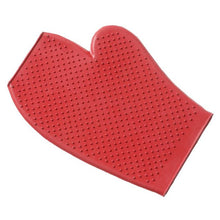 Load image into Gallery viewer, Grooming Mitt