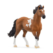 Load image into Gallery viewer, Schleich Horses Various Breeds
