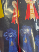 Load image into Gallery viewer, Posh Pony Boot Stuffer