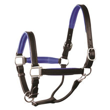 Load image into Gallery viewer, Perris 1" Leather Padded Halters