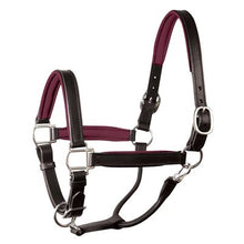 Load image into Gallery viewer, Perris 1" Leather Padded Halters