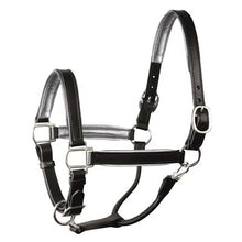 Load image into Gallery viewer, Perris 1" Leather Padded Halters