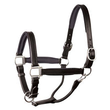 Load image into Gallery viewer, Perris 1" Leather Padded Halters