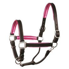 Load image into Gallery viewer, Perris 1" Leather Padded Halters