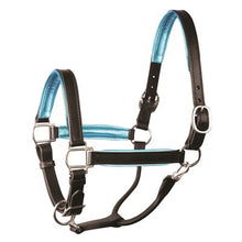 Load image into Gallery viewer, Perris 1" Leather Padded Halters