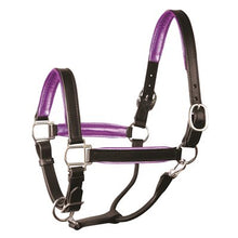 Load image into Gallery viewer, Perris 1" Leather Padded Halters