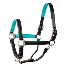 Load image into Gallery viewer, Perris 1" Leather Padded Halters