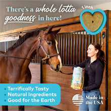 Load image into Gallery viewer, HONEST TO GOODNESS UPCYCLED HORSE TREATS - BANANA