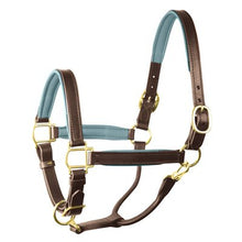 Load image into Gallery viewer, Perris 1" Leather Padded Halters