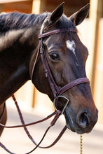 Load image into Gallery viewer, Huntley Equestrian Fancy Stitched Schooling Hunter Bridle with Reins