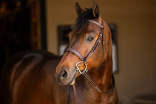 Load image into Gallery viewer, Huntley Equestrian Sedgwick Fancy Stitched Square Raised Hunter Horse Bridle with Reins