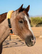 Load image into Gallery viewer, Professional's Choice The Dare Cribbing Collar