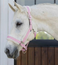 Load image into Gallery viewer, Equinavia Valkyrie Ultra Fleece Breakaway Halter