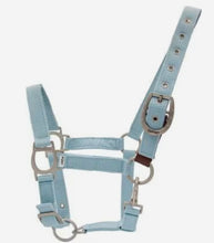 Load image into Gallery viewer, Ovation® Color Collection Lucky Adjustable Breakaway Halter by Ovation®