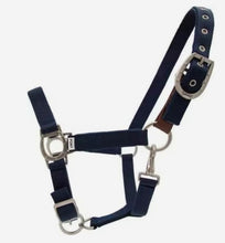 Load image into Gallery viewer, Ovation® Color Collection Lucky Adjustable Breakaway Halter by Ovation®