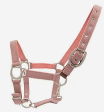 Load image into Gallery viewer, Ovation® Color Collection Lucky Adjustable Breakaway Halter by Ovation®