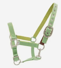 Load image into Gallery viewer, Ovation® Color Collection Lucky Adjustable Breakaway Halter by Ovation®