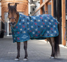 Load image into Gallery viewer, Shires Highlander Miniature Lite
