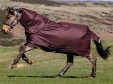 Load image into Gallery viewer, LeMieux Arika Ripstop 0g Turnout Sheet -Bramble