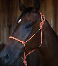 Load image into Gallery viewer, Haychix Redemption Timeless Halter & Lead Rope Set - Large