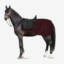 Load image into Gallery viewer, Horze Kiel Riding Rug with Fleece