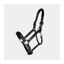 Load image into Gallery viewer, Signature by Antares Leather Halter