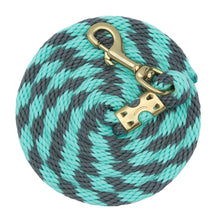 Load image into Gallery viewer, Weaver Value Nylon 8’ Lead
