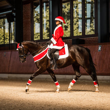 Load image into Gallery viewer, Horze Santa Harness - Red