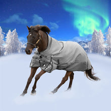 Load image into Gallery viewer, Equinavia Arktis Extended Neck Heavy Weight Turnout Blanket 300g - Charcoal Gray Closeout