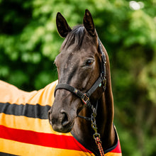 Load image into Gallery viewer, Horseware Newmarket Halter & Lead
