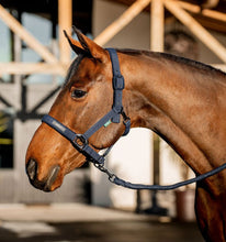 Load image into Gallery viewer, Horseware Newmarket Halter & Lead