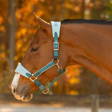 Load image into Gallery viewer, Equinavia Saga Fleece Padded Breakaway Halter
