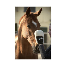 Load image into Gallery viewer, Penelope Grooming glove